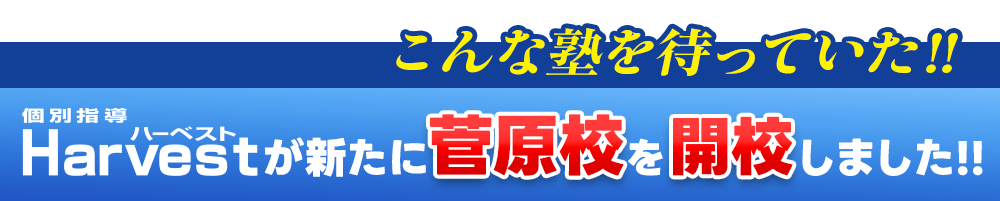 こんな塾を待っていた