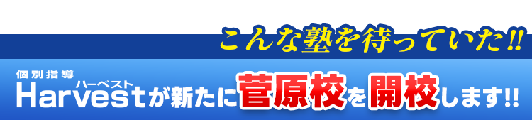 こんな塾を待っていた