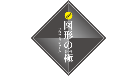 玉井式 図形の極 プロフェッショナル