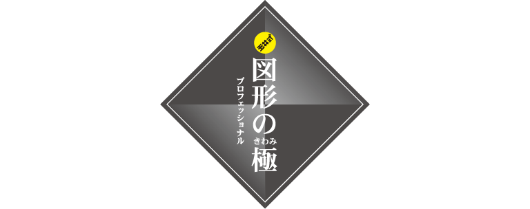 玉井式 図形の極 プロフェッショナル
